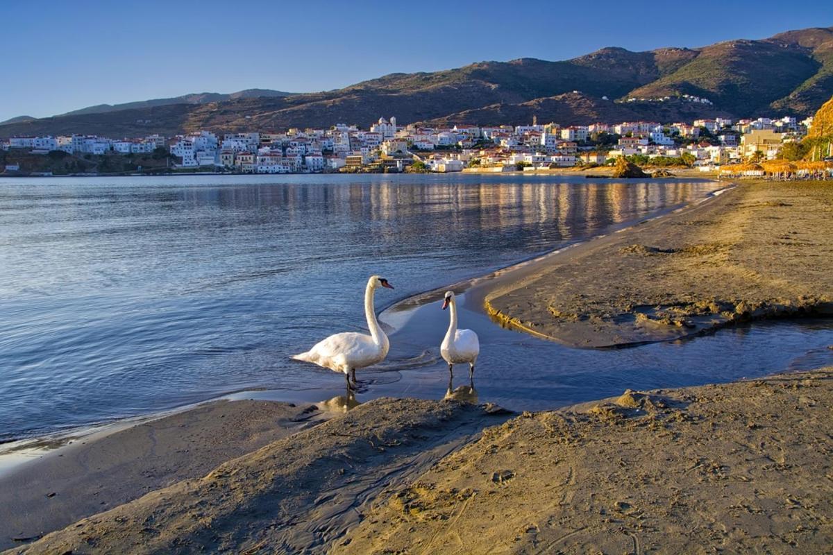 Kontos-Traditional House In Andros Beach Exterior photo